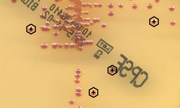 colonies-highlighted-by-phenomatrix