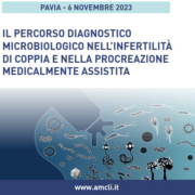 pavia-6-novembre